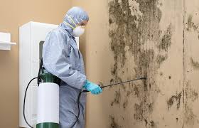 Best Residential Mold Inspection & Testing in Crewe, VA